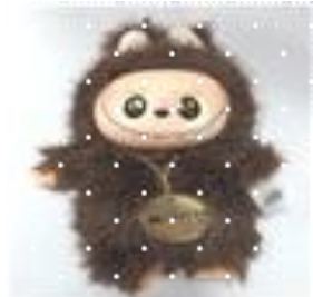 인형뽑기 경품 인형 D